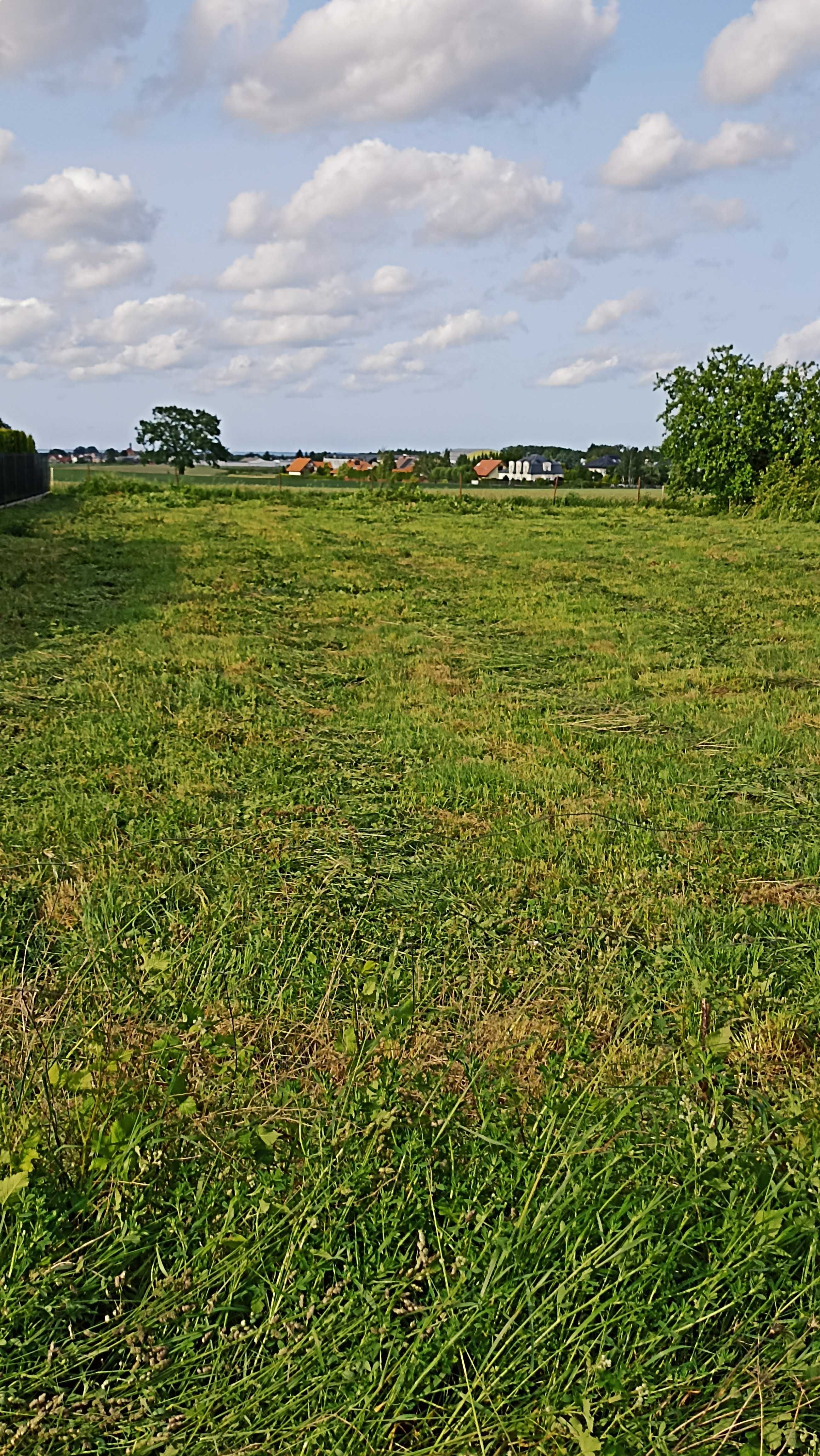 Wynajmę działkę 1000 m2 Gdynia Pogórze/Kosakowo
