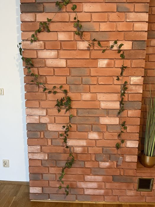 Liscie led na sciane