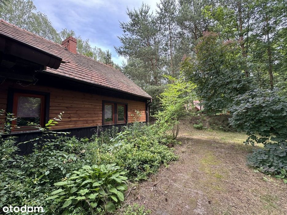 Piękne siedlisko 1645 m2 ze stawem w Błogoszczy