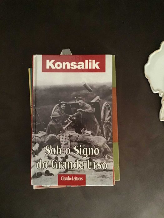 livro sob o signo do grande urso