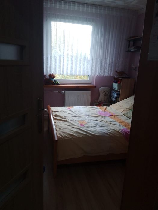 Nieruchomości-Mieszkania