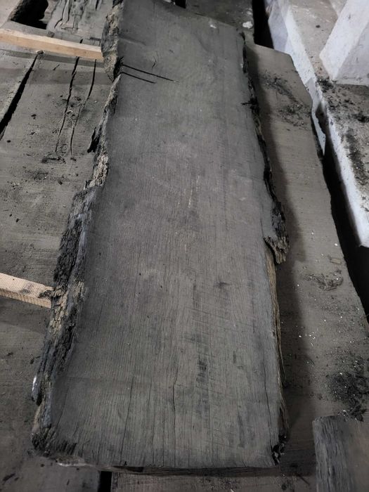 Czarny dąb, deski czarny dąb , brusy czarny dąb, black oak, tarcica