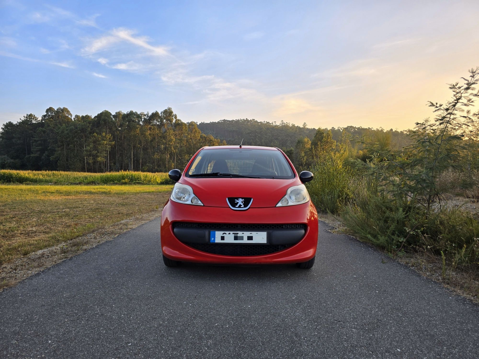 Peugeot 107 1.4 HDI Nacional