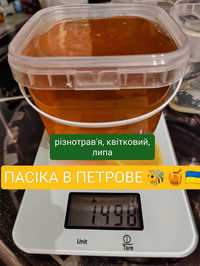 Ukrainian Honey, Найсмачніший Український МЕД