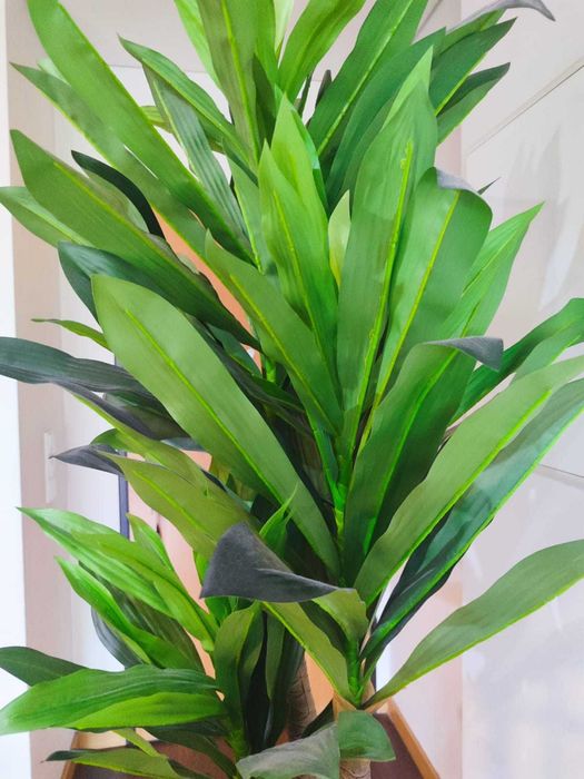 Plantas decorativas + Vaso I +/- 190CM I 2UND