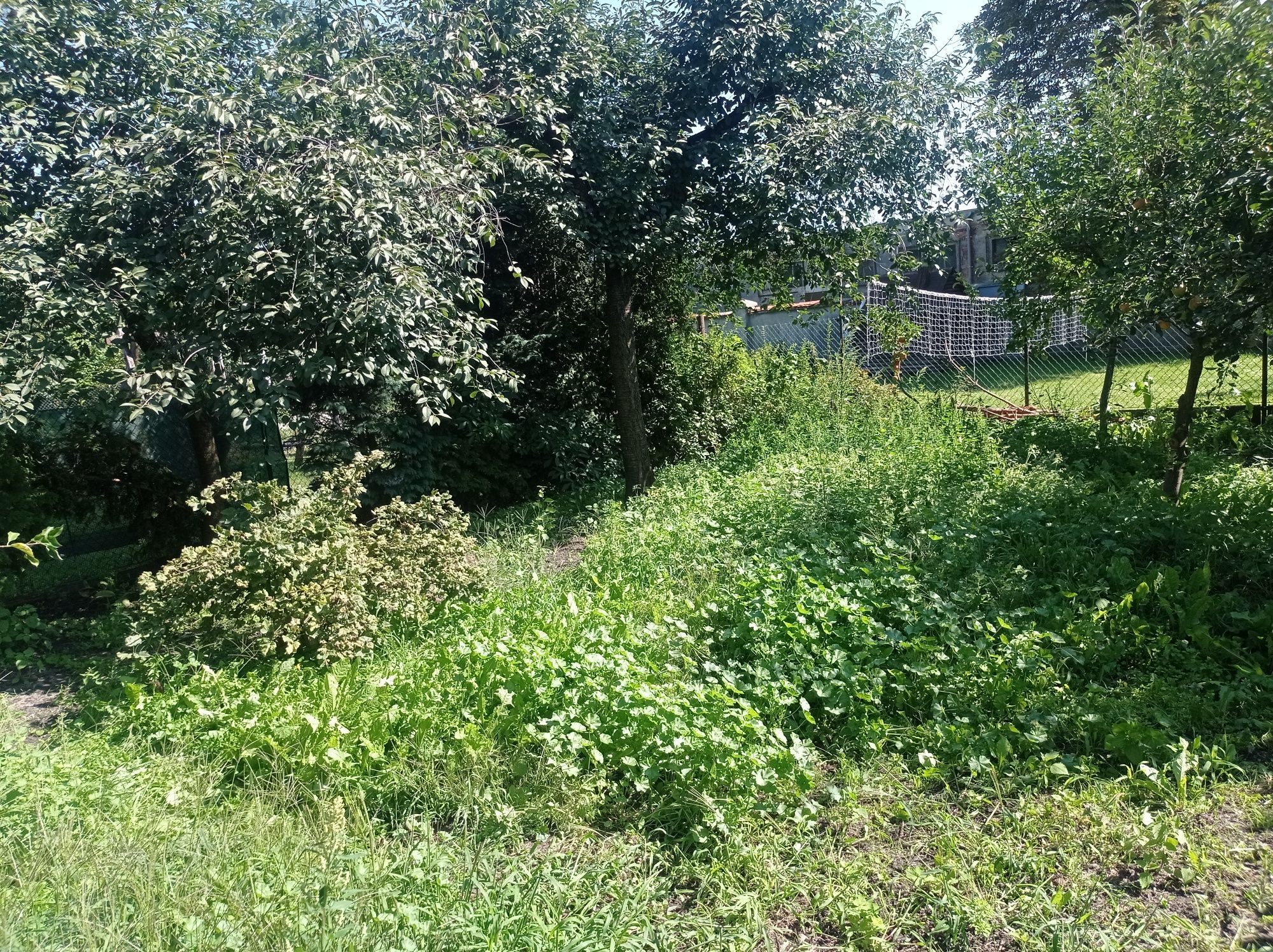 Do wynajęcia mieszkanie