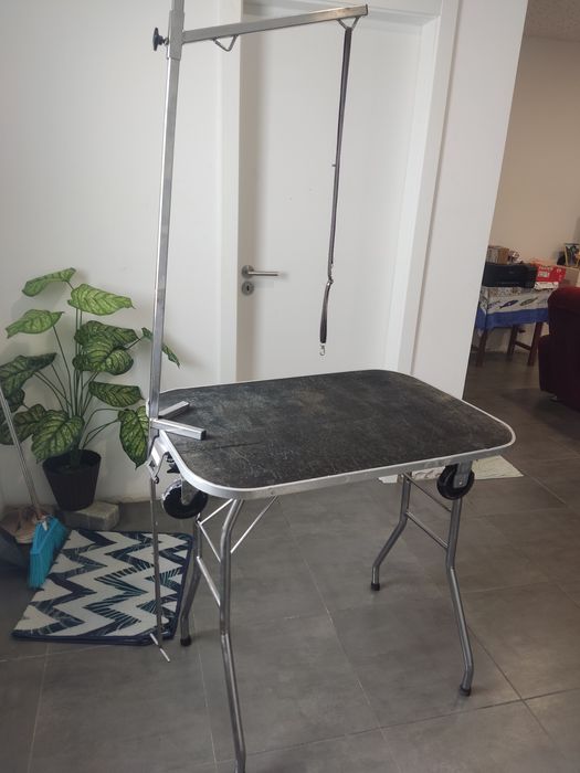 Mesa de tosa profissional portátil