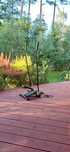 Stepper z linkami + nordic walking