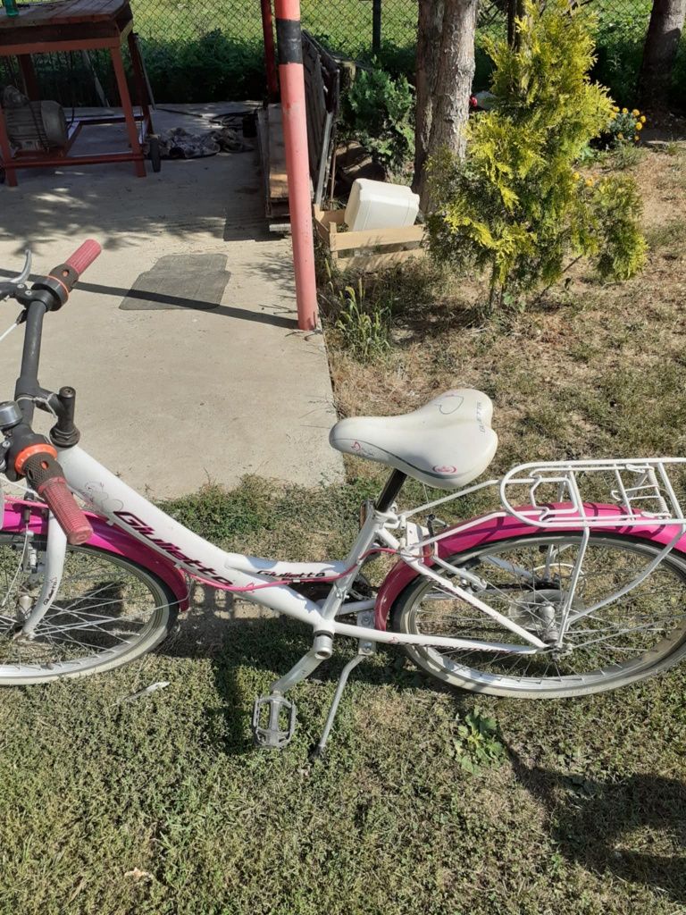 Kolekcja  rowerów górskich