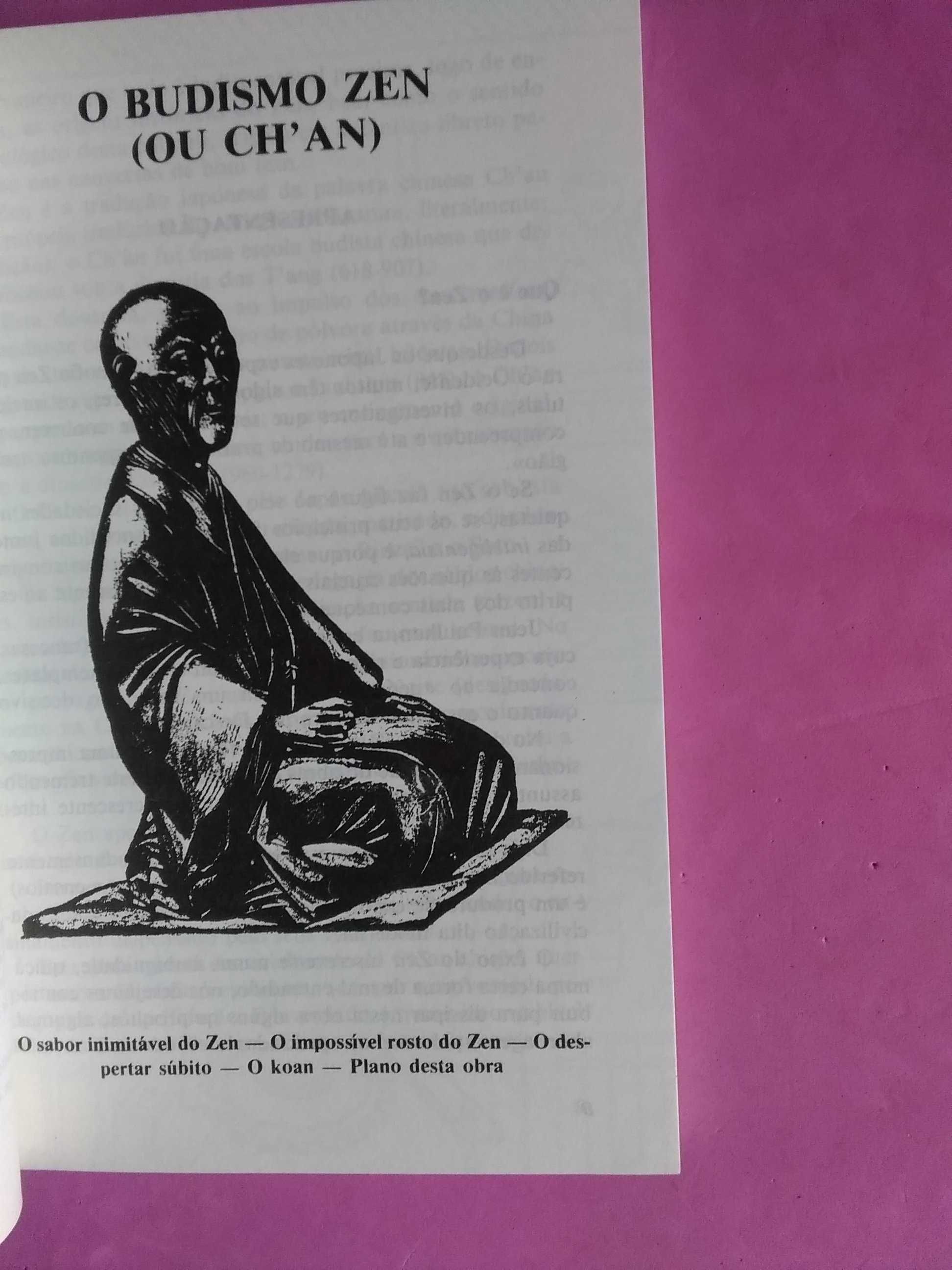 O Zen por Jean Michel Varenne