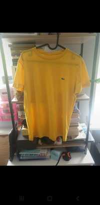 Lacoste Yellow rozmiar.S