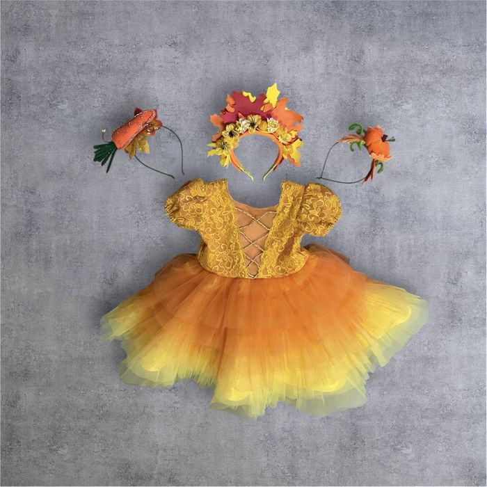 Сукні на свято осені краплинка сливка виноград осінь