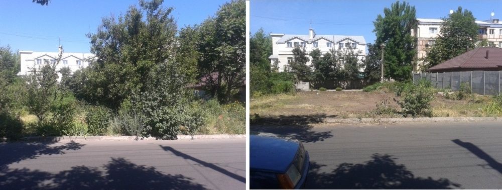 Спил деревьев Обрезка садовых(фруктовых) деревьев от 150грн шт.