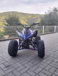 Moto 4  125cc Pit