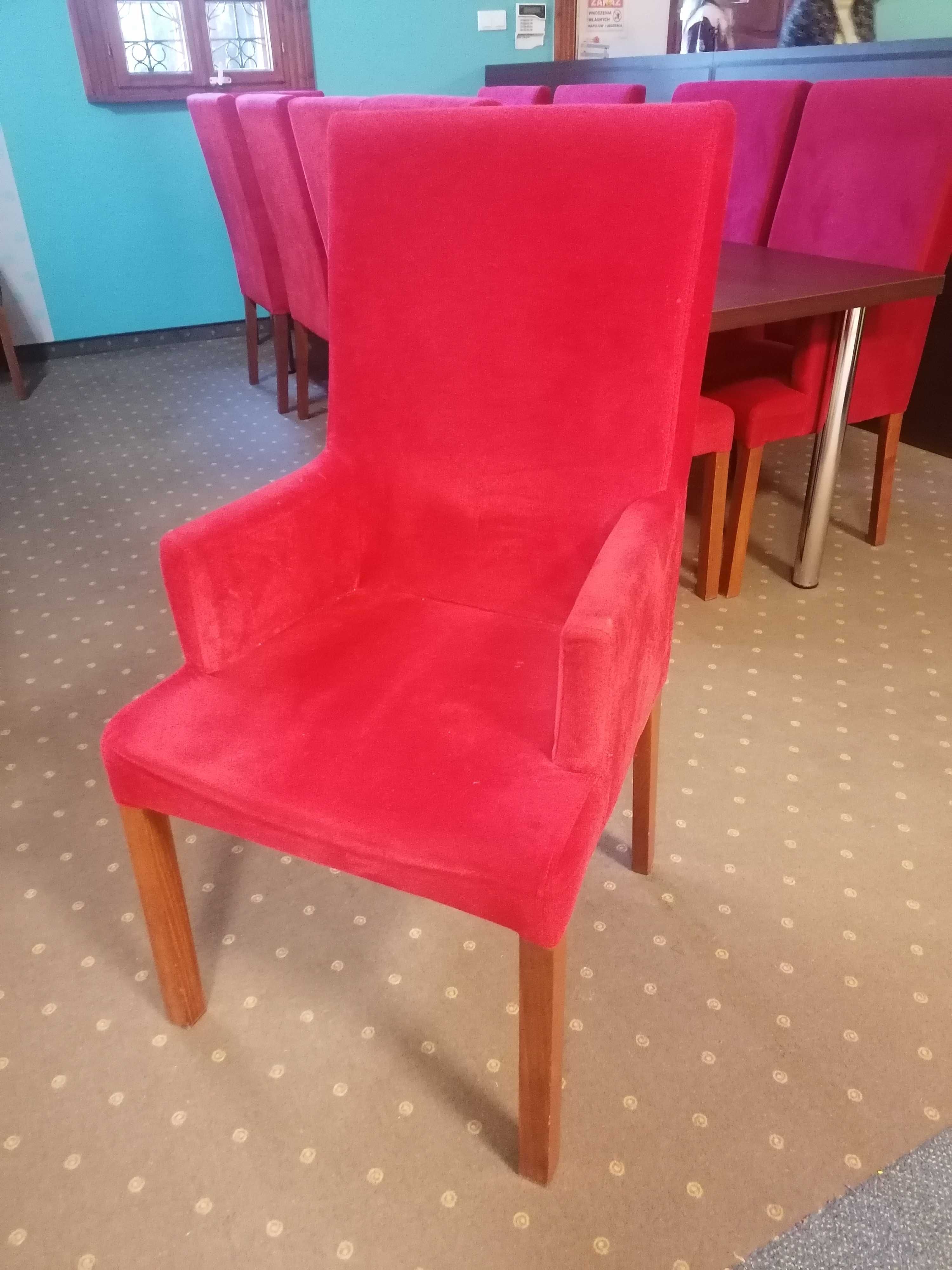 Krzesła tapicerowane z podłokietnikami