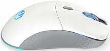 Mysz ENDORFY GEM Plus Wireless Onyx White
