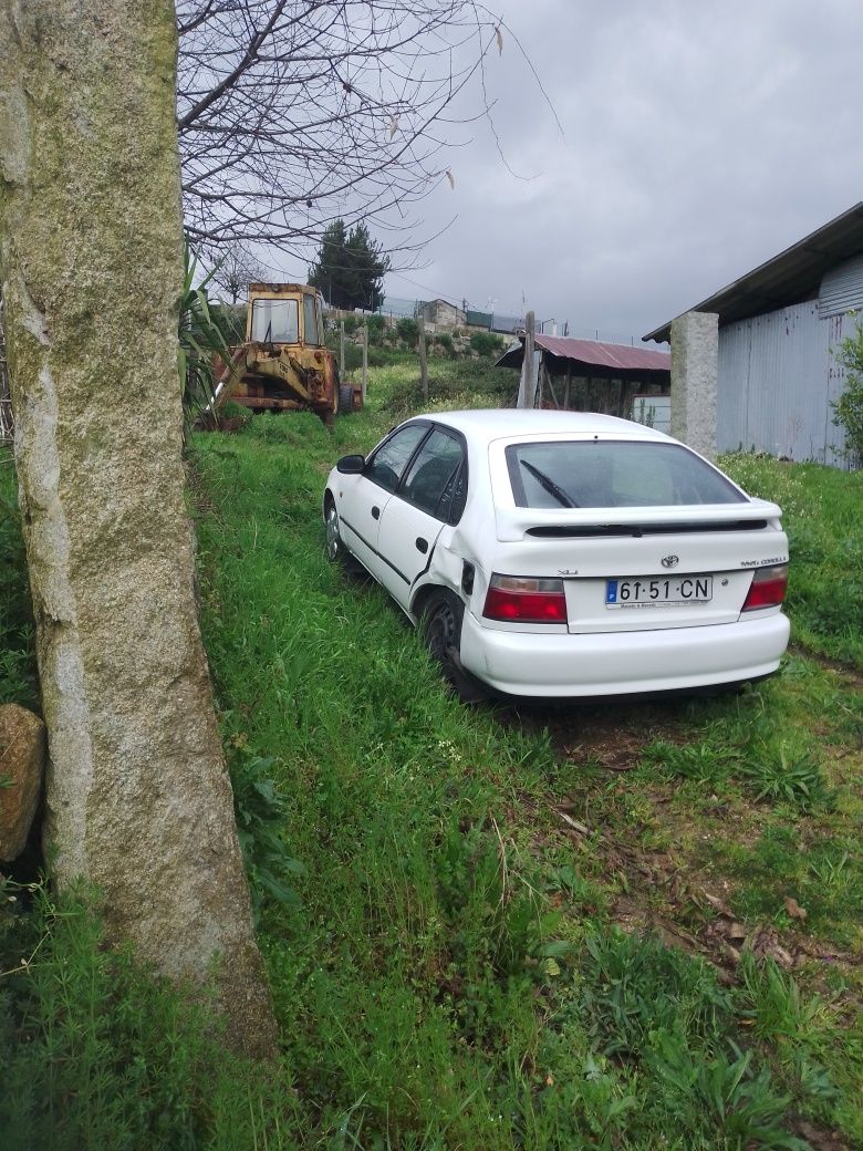 Toyota Corolla xli