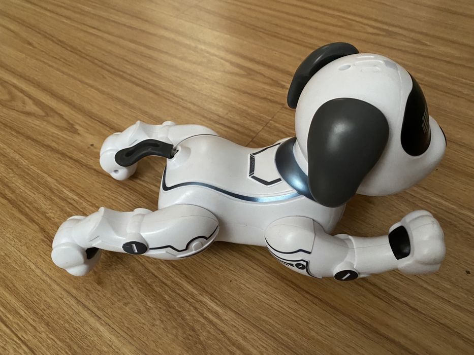 Cao robot  novo