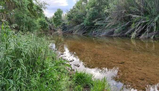 Terreno com Projeto Aprovado para Moradia T5 em Paderne ALGARVE