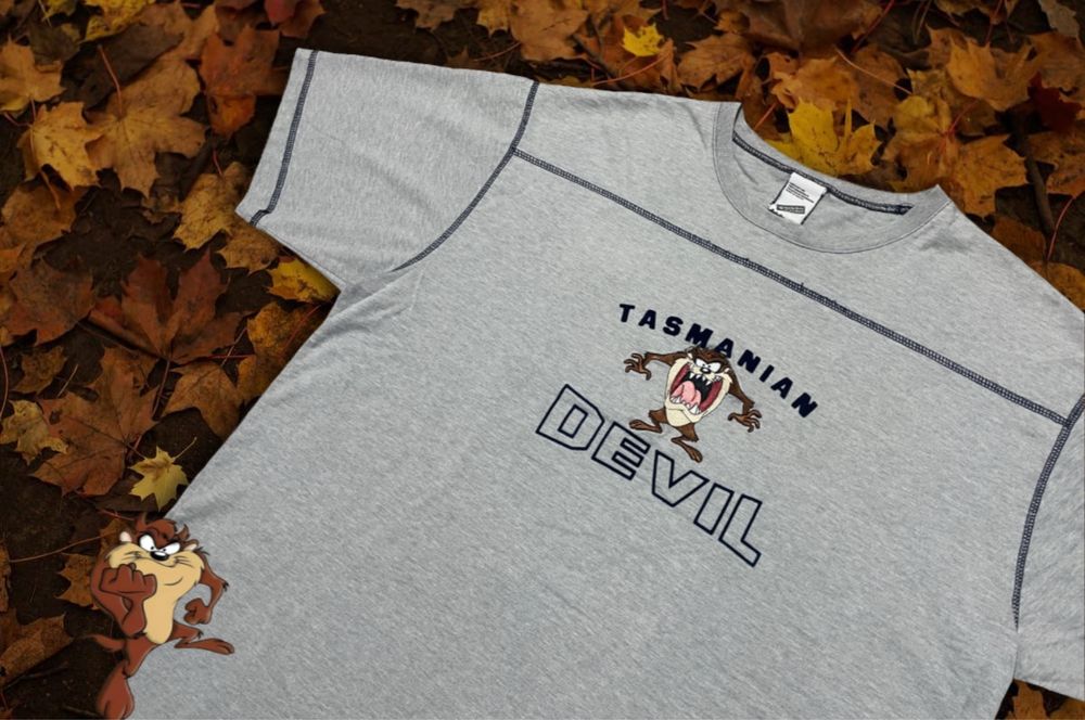 Сіра вінтажна футболка Tasmanian Devil, Graphic tee / XL
