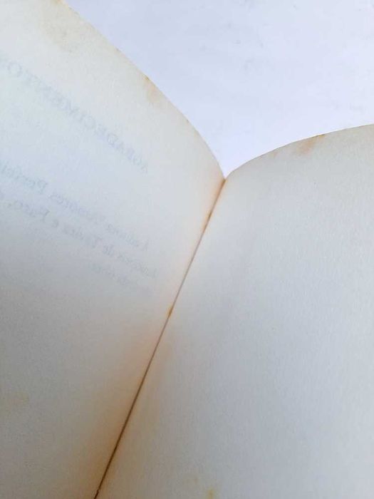 Férias na Quinta da Avó - Isabel Ferreira