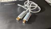 USB 2.0 typ A-B VIBORG  1m walory (WireWorld Platinum Starlight 7)