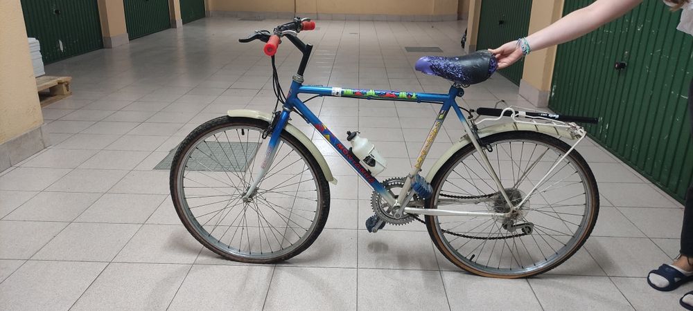 Bicicleta antiga, precisa de manutenção.

Corrente e quadro impecáveis