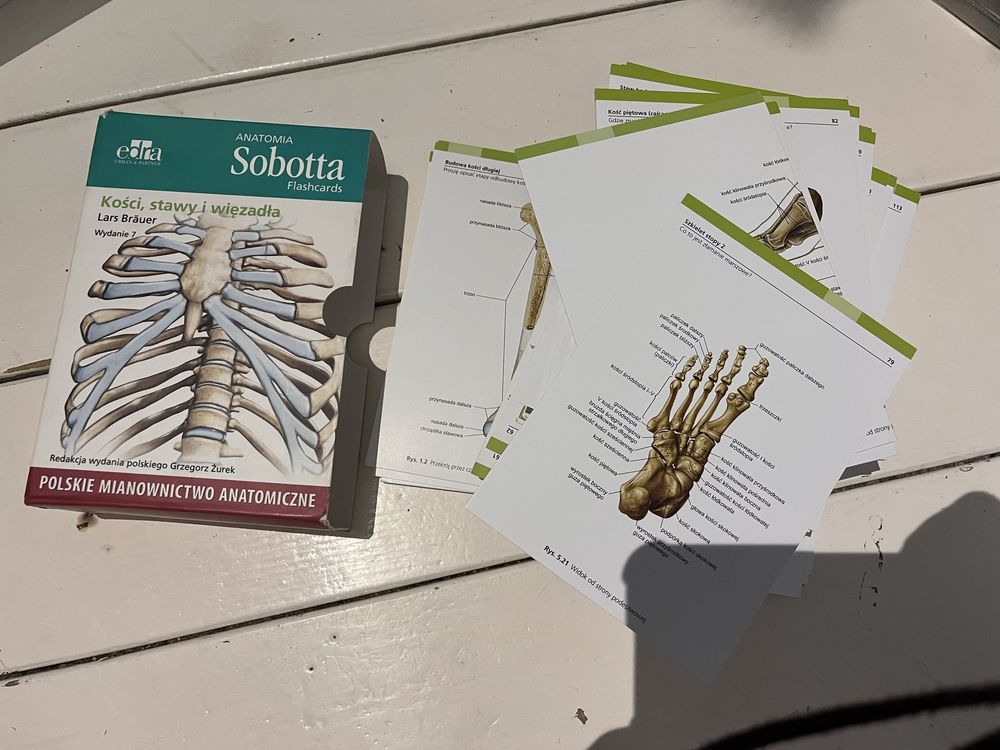Fiszki anatomiczne Sobotta kosci, stawy i wiezadła
