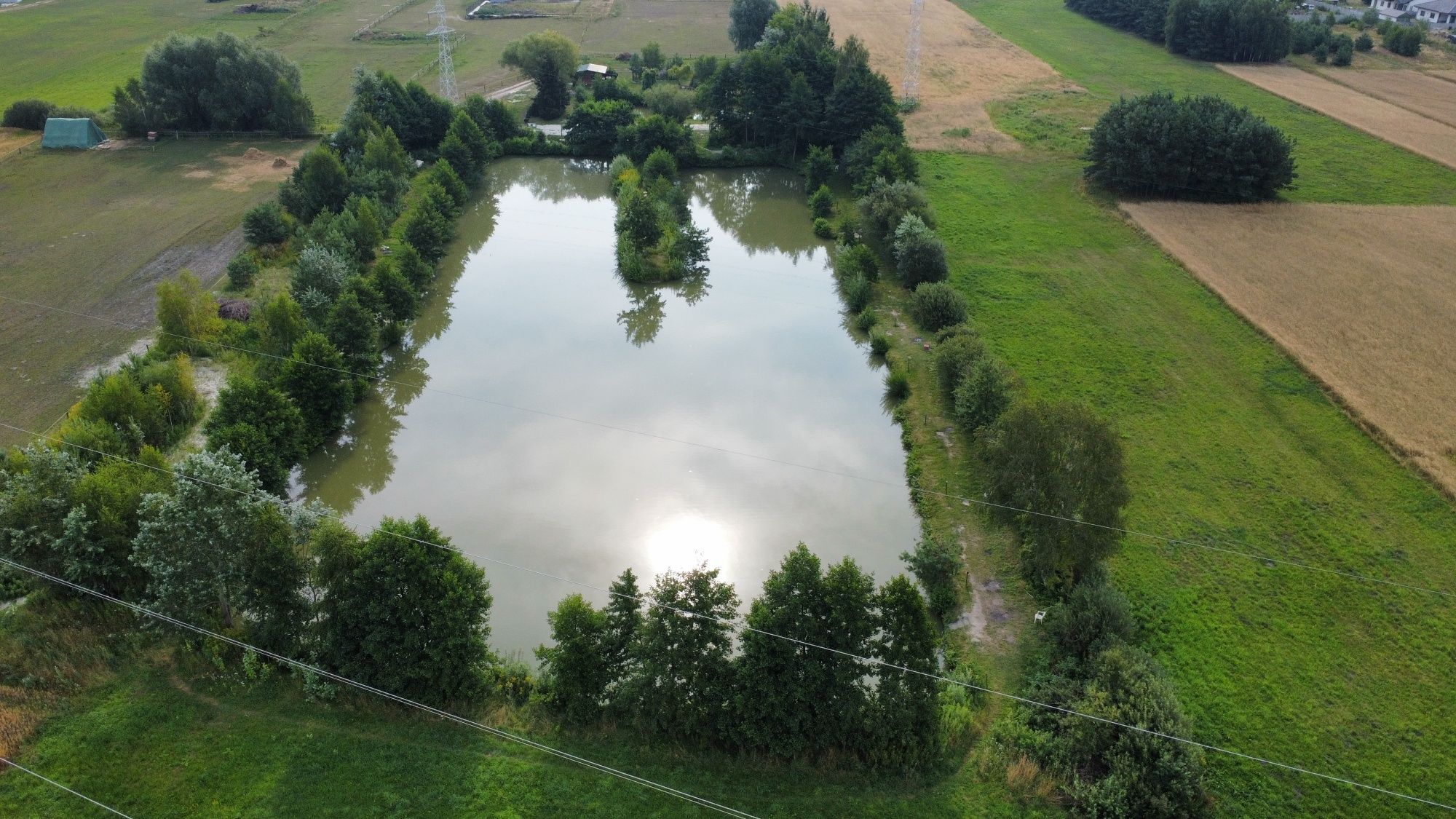 Domek nad stawem