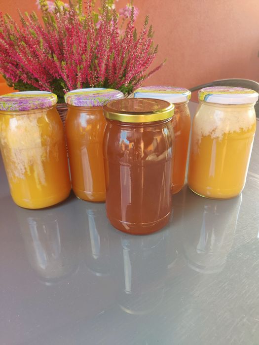Miód z własnej pasieki