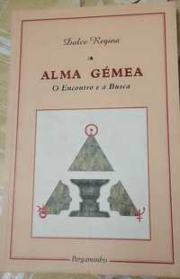 Alma Gémea - O encontro e a busca