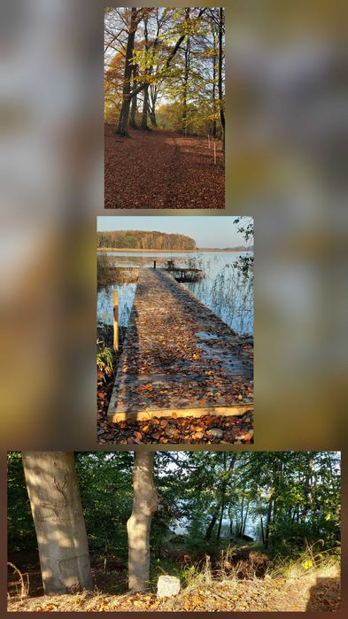 Sprzedam działkę nad Jez. Drawsko pierwsza linia brzegowa- rolna 600m2