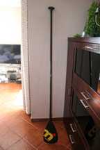 Remo SUP Mistral FC Gold Edition (Carbon)
