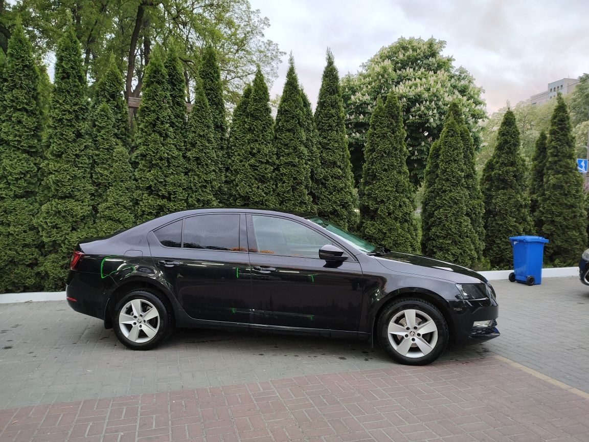 Skoda Octavia A7, 2019, автомат, офіційна