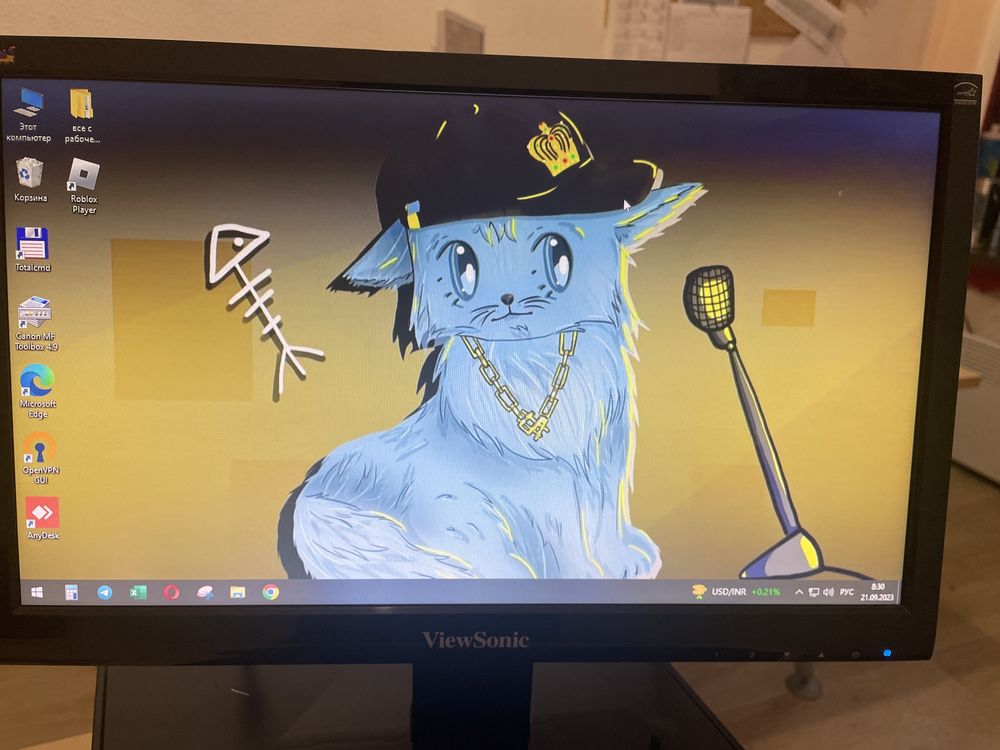 ViewSonic VA1911A-LED (16:9/VGA/LED) БУ