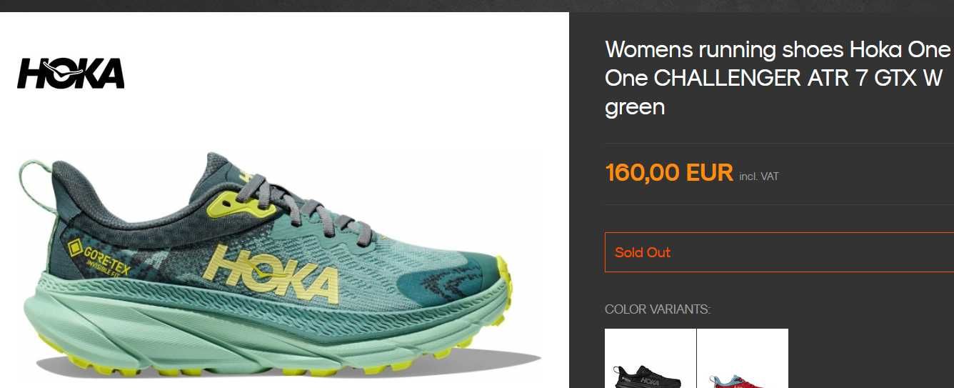Кросівки для бігу Hoka Challenger ATR 7 GTX 1134502, 39.5-40р
