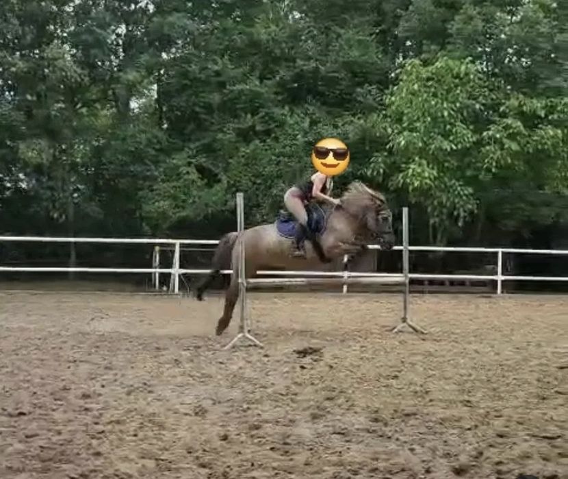 Kuc C Grupa do sportu, ambitnej rekreacji