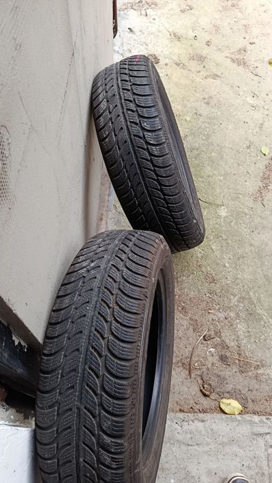 Opony Dębica Frigo 2 175/65/R15