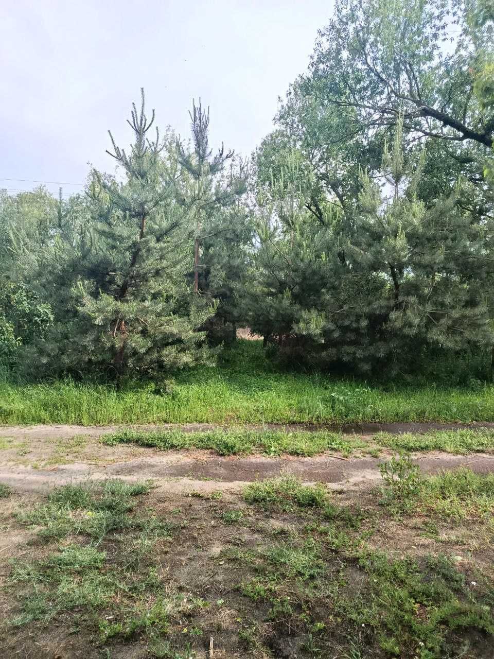 Продам дом в Введенке.Харьковская обл.