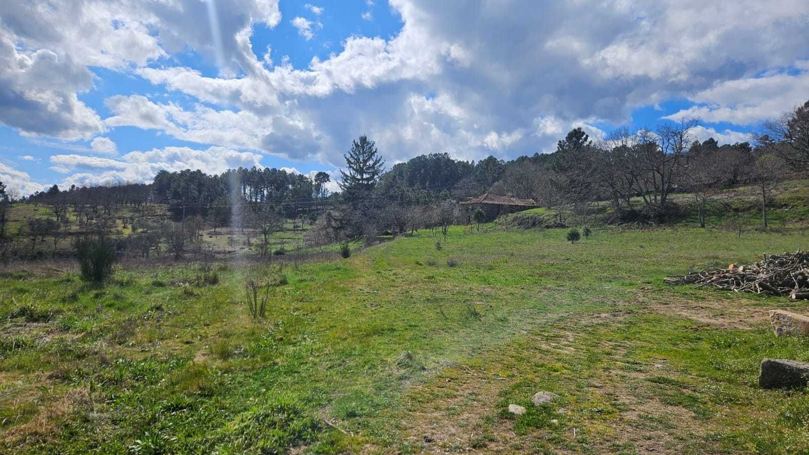 Terreno Frechão 2.2ha