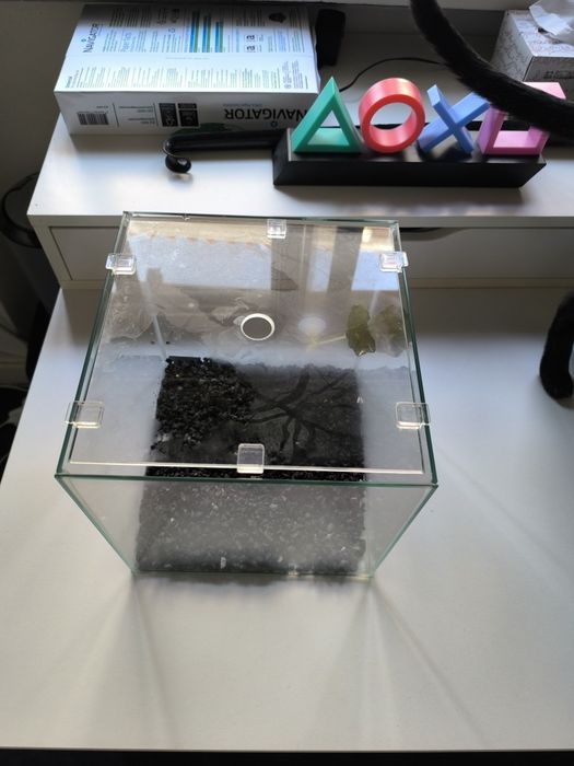 AQUATLANTIS  Kubus  Betta  15L