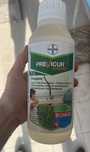 Previcur energy firmy Bayer