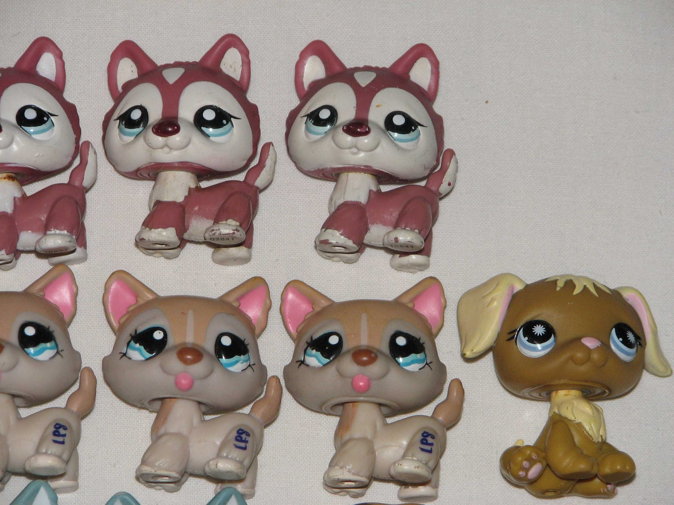 LPS figurki kotki i pieski littlest Pet shop UNIKAT z 2006r