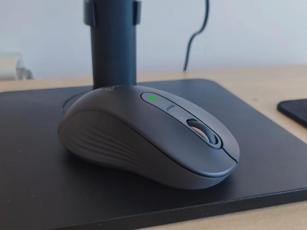 Rato Logitech Signature M650 L