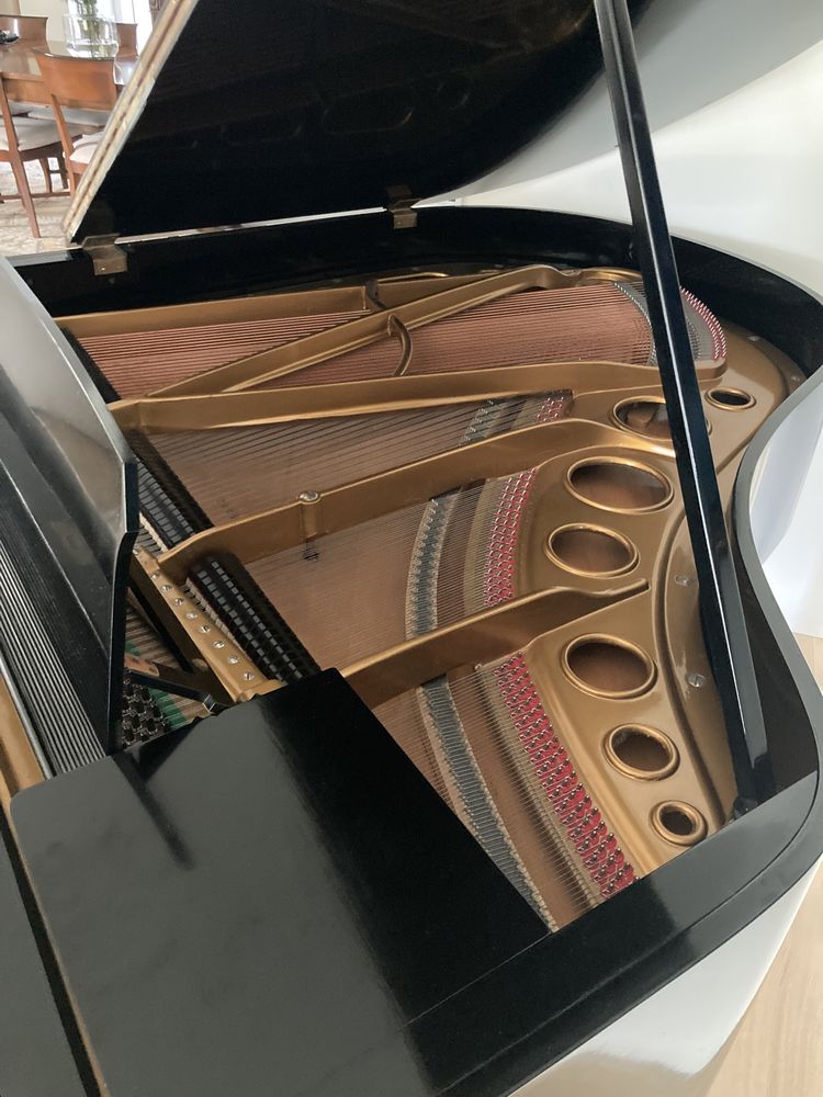 Piano de Cauda Bosendorfer