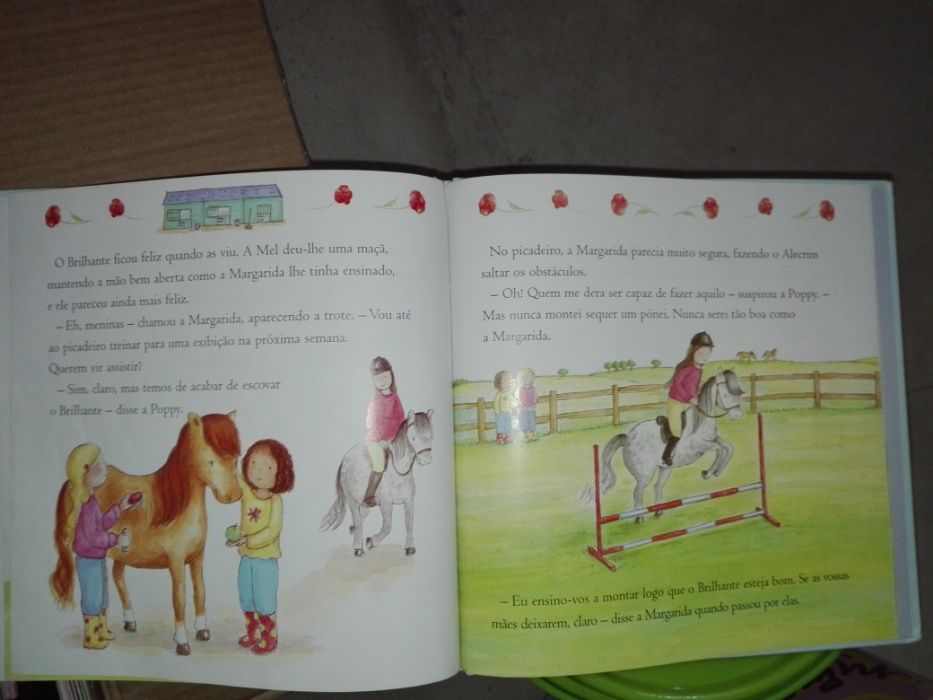 Livro da poppy: o pônei brilhante