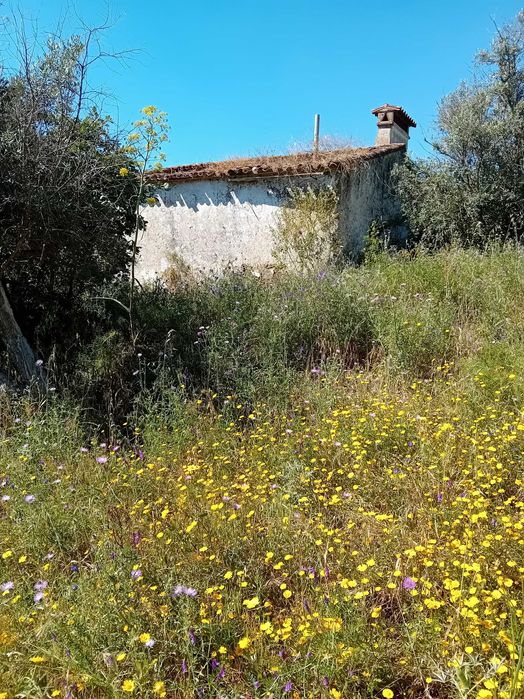 quinta  s mamede urra Alentejo Portalegre