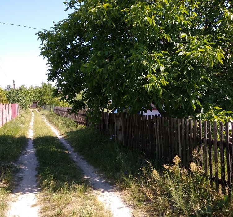 Продаж/обмін, садова ділянка, наявні споруди у хвойного лісу, озера!