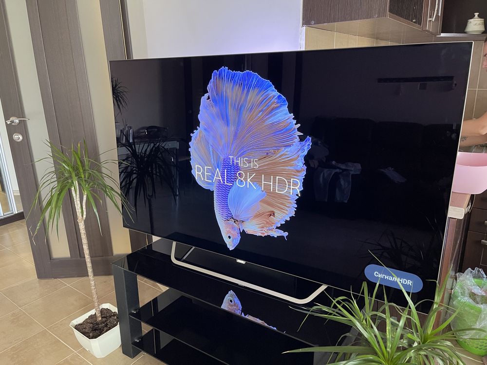 Philips 65 OLED 873/12 120Гц 4K (без вигорань) коштував4000$