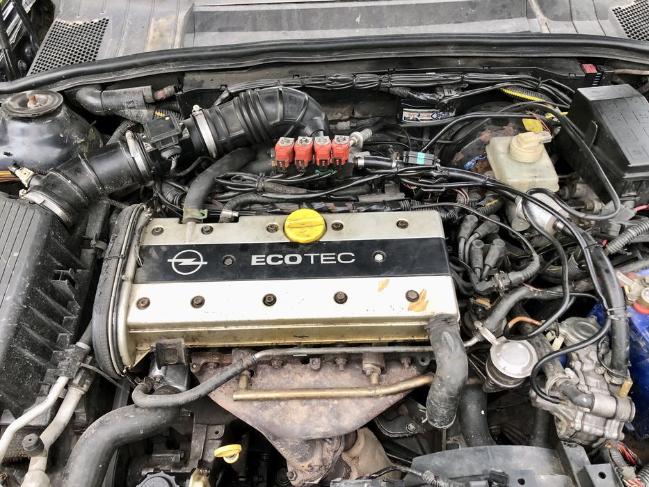 Opel Vectra B Universal